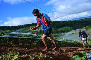 BIB: 8290
                            <button type="button" onclick="openModal(13381461)" class="btn btn-primary btn-sm float-right btn-popup" data-toggle="modal" data-target=".modal-high-quality">
                        <i class="fas fa-shopping-cart"></i> Add to Cart
                    </button>
                                            <button type="button" onclick="isThisMe(13381461, true)" class="btn btn-success btn-sm float-right btn-popup btn-isme hidden" data-toggle="tooltip" data-placement="bottom" title="นี่คือรูปของคุณใช่ไหม คลิกที่นี่เพื่อเอาเข้าอัลบั้ม">
                        <i class="fas fa-plus"></i> Add to album
                    </button>
                    <button type="button" onclick="isThisMe(13381461, false)" class="btn btn-warning btn-sm float-right btn-popup btn-isnotme hidden">
                        <i class="fas fa-ban"></i> Remove from album
                    </button>